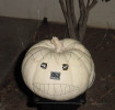 cyberpumpkinflash