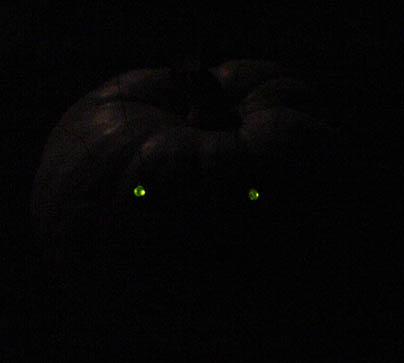 cyberpumpkinnoflash