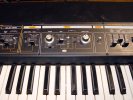 jp4middle