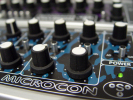 microconcyclodon